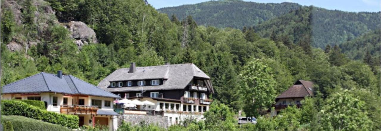 Hotel Waldeck In Тодтнау Екстер'єр фото